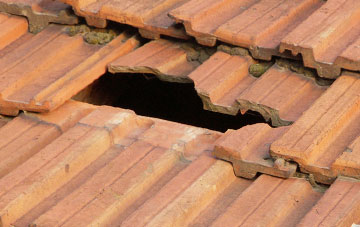 roof repair Moor Cross, Devon